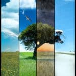 Acupuncture in Portland and the Change in Seasons