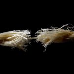 is stress our foe or friend