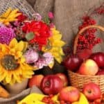 Adapting to Seasonal and Time Changes