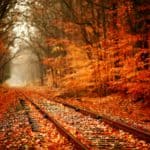 can acupuncture help depression