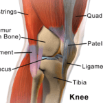 alleviate knee pain