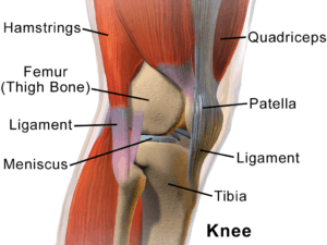 alleviate knee pain